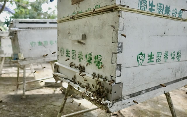 Po San Yuen Bee Farm