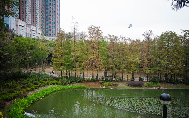 Tsing Yi Park